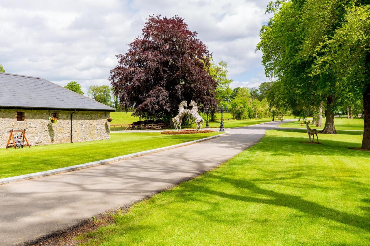 Queens Brook Apartment Navan Exteriér fotografie