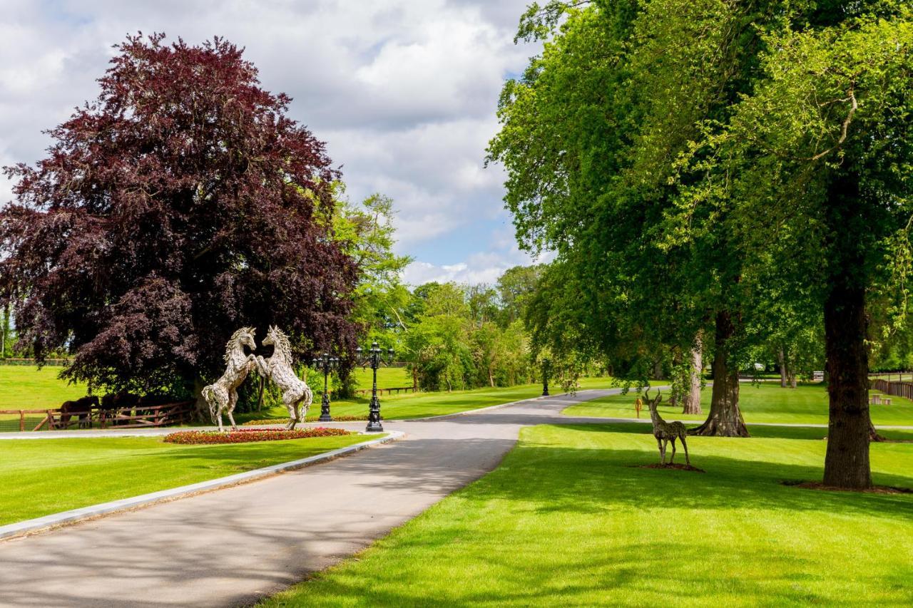 Queens Brook Apartment Navan Exteriér fotografie